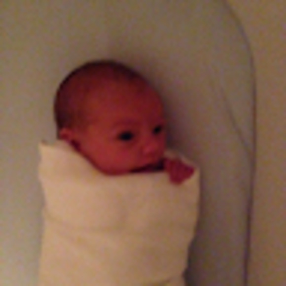 Meet your Posher, Shama - Picture 1 of 1